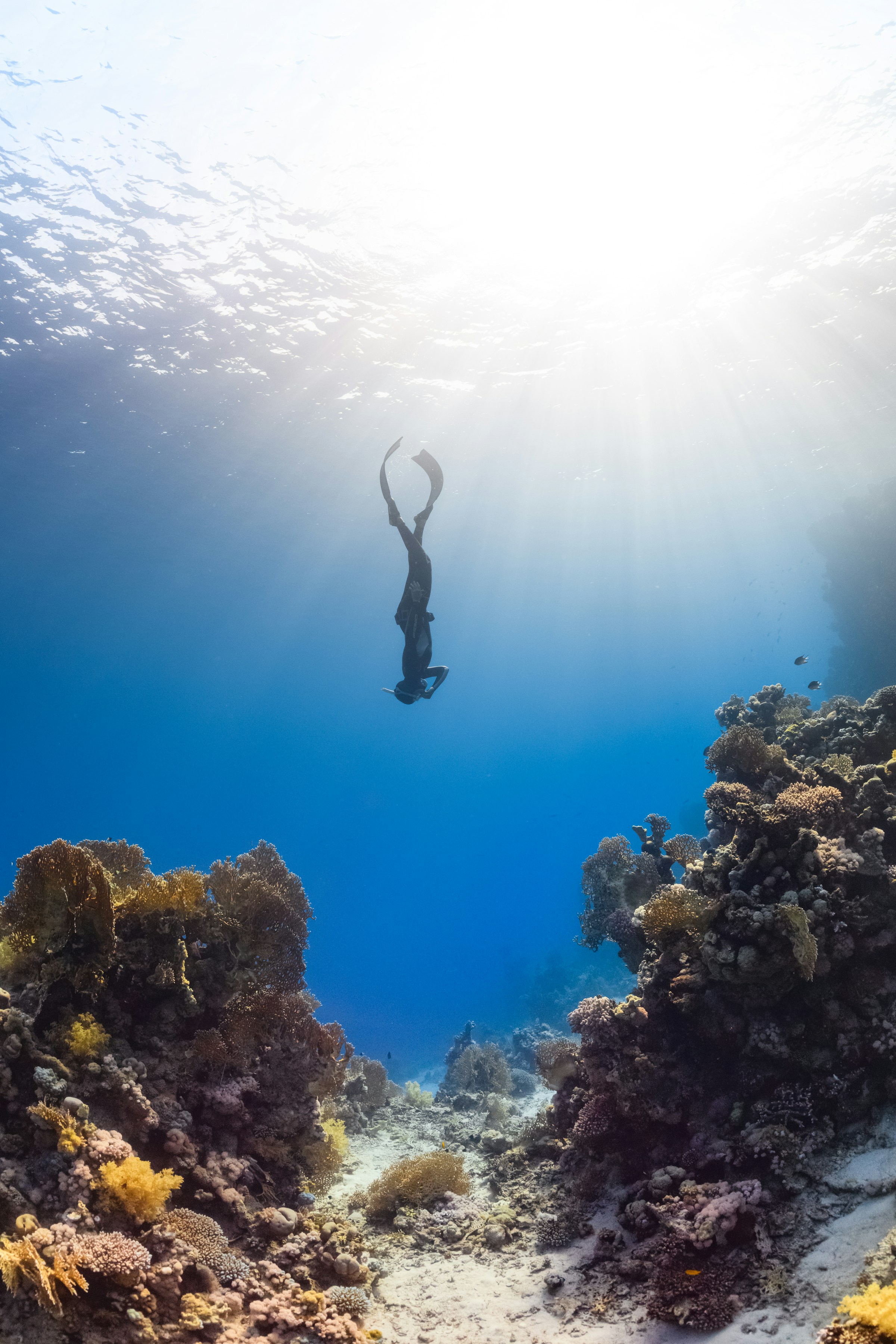 Scuba diver exploring underwater